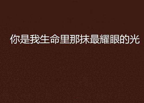 你是我最耀眼的光,我生命中最璀璨的指引之光